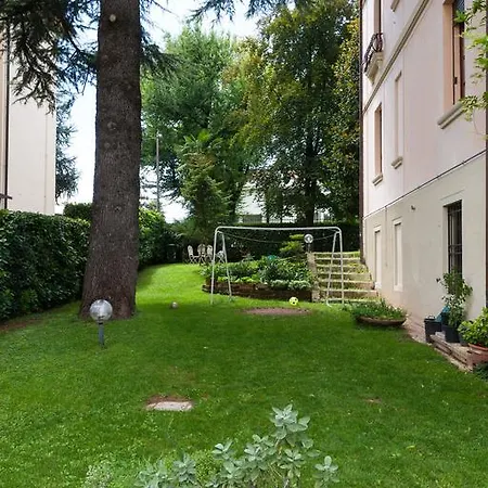 Mainard 4*